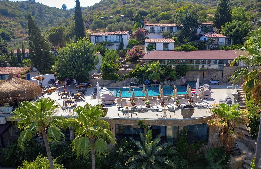Illusion Beach & Clubhotel - Adults Only-1